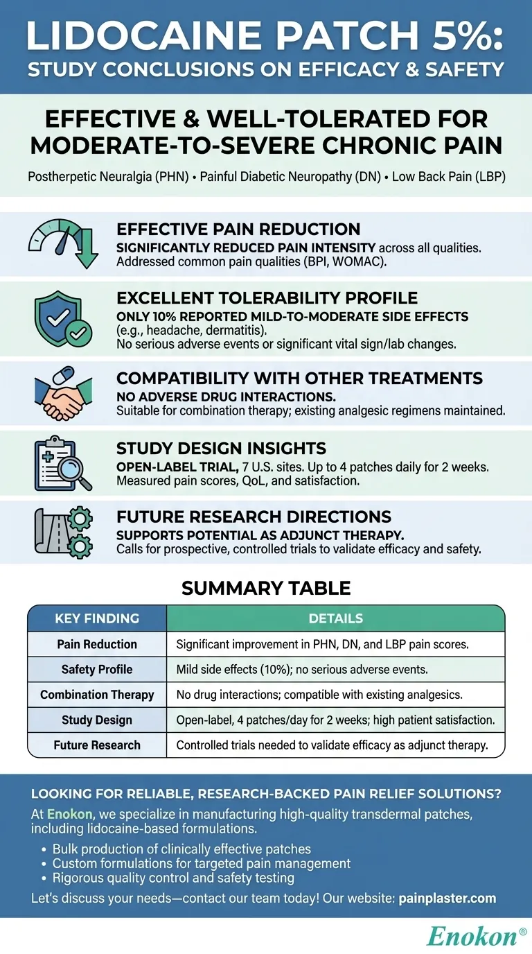 ¿Cuáles fueron las conclusiones del estudio sobre el parche de lidocaína al 5%?Principales conclusiones sobre el alivio del dolor crónico Guía Visual
