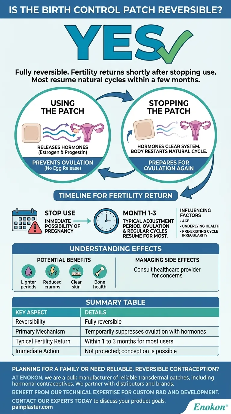 避妊パッチは可逆的か？使用後の受胎可能性の回復を理解する ビジュアルガイド