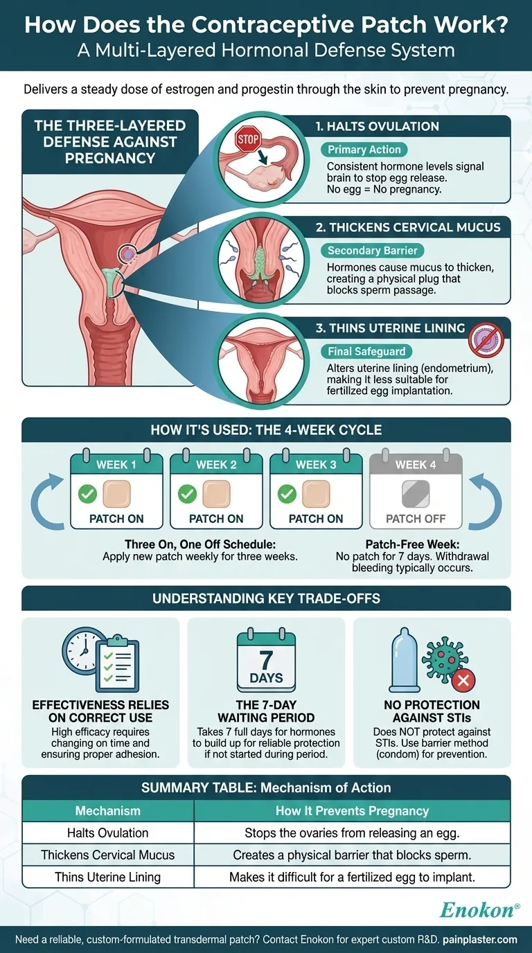 避妊パッチはどのように機能するのか？ホルモン避妊法の説明 ビジュアルガイド