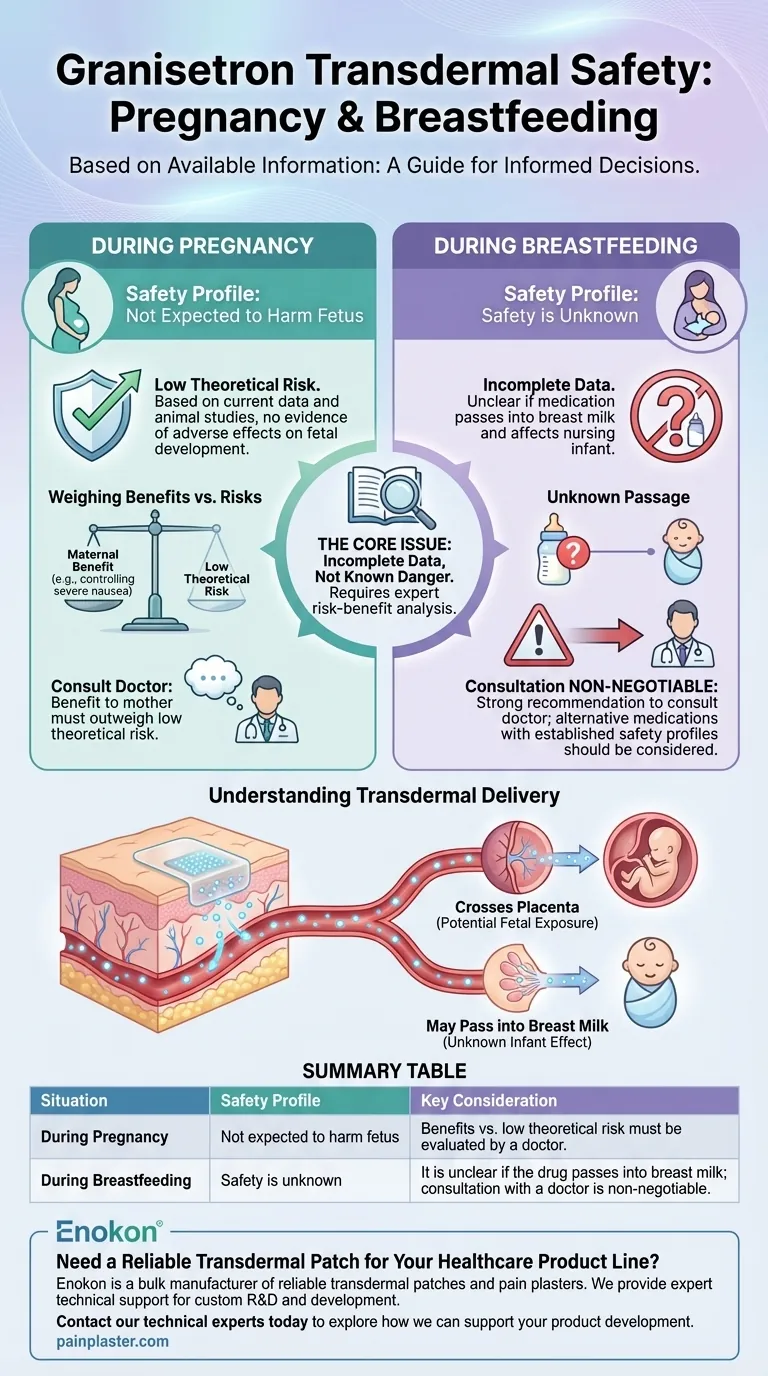 孕期或哺乳期使用格拉司琼透皮片是否安全？主要安全见解 图解指南