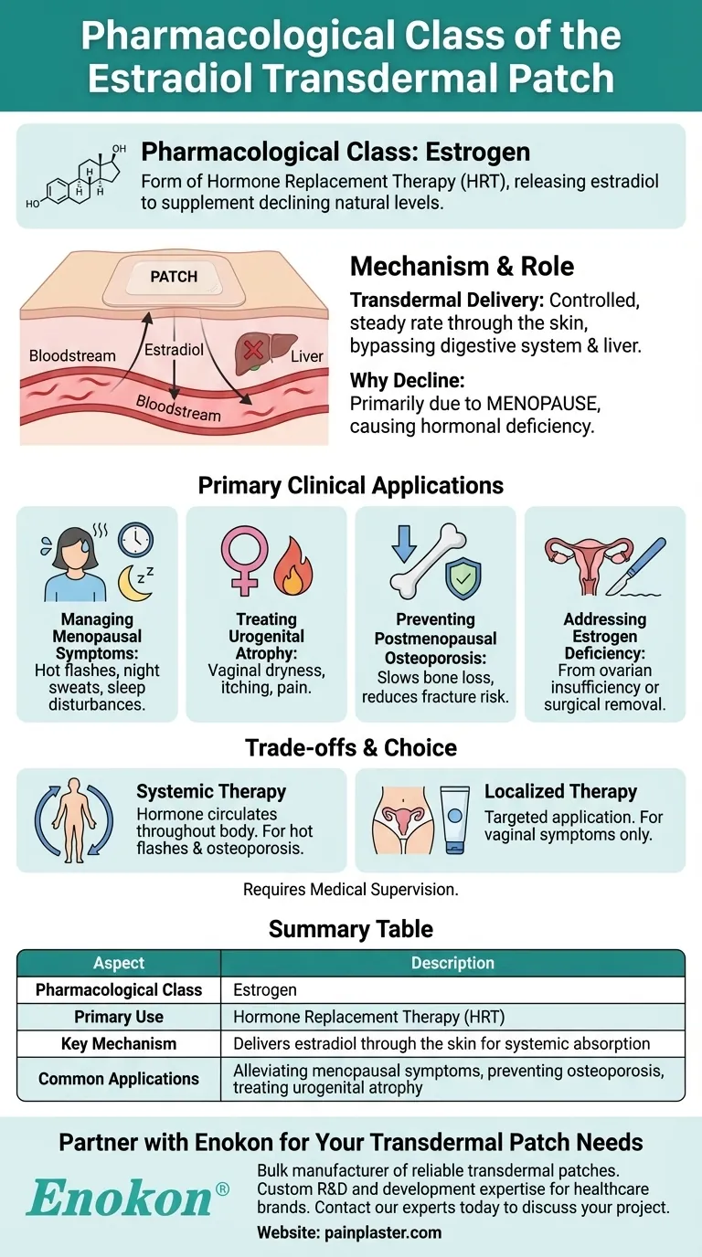エストラジオール経皮パッチの薬理学的分類は？| ホルモン補充療法について ビジュアルガイド