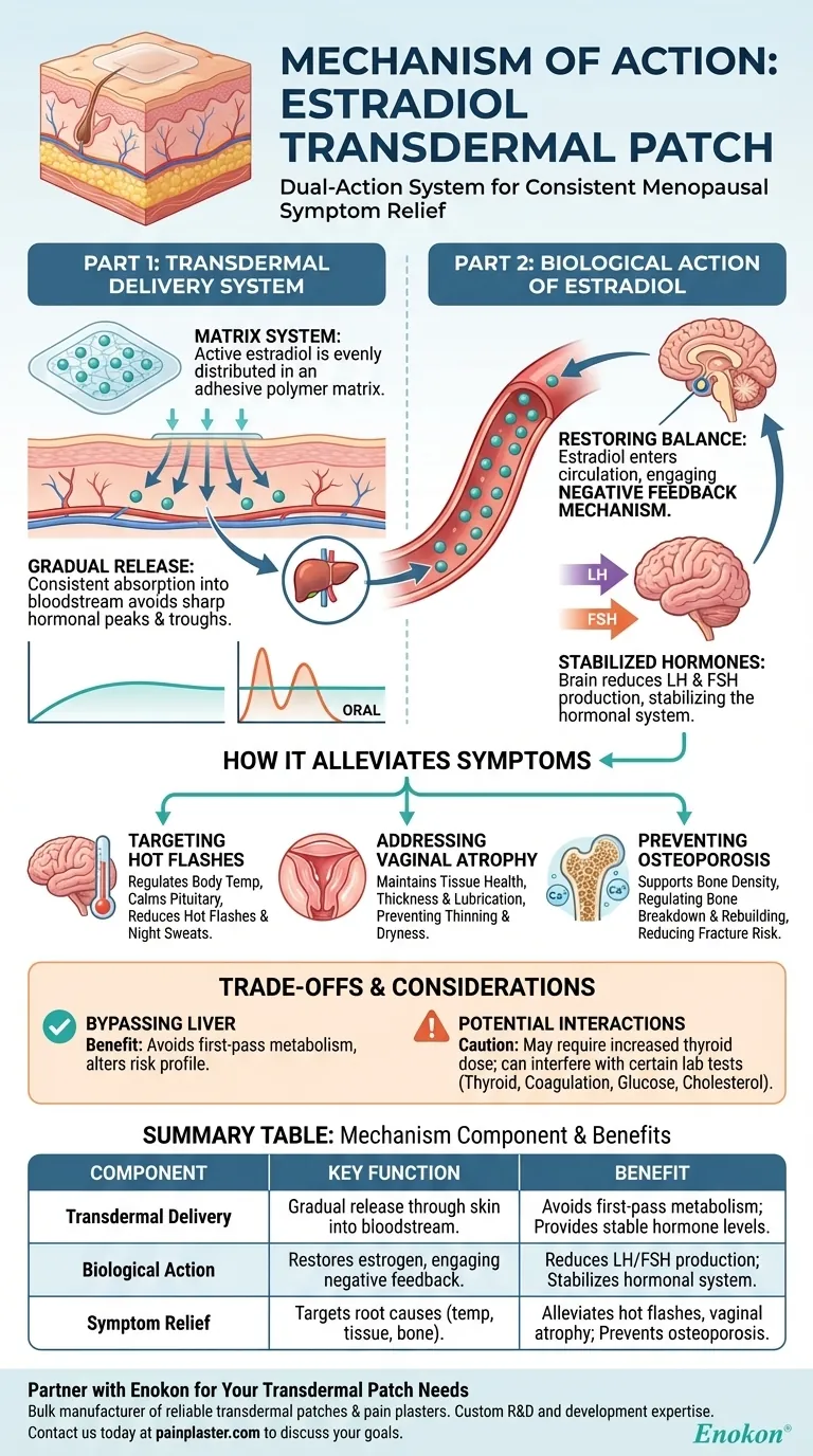 エストラジオール経皮パッチの作用機序は？| エストラジオール経皮吸収パッチの作用機序について｜ホルモン療法の解説 ビジュアルガイド