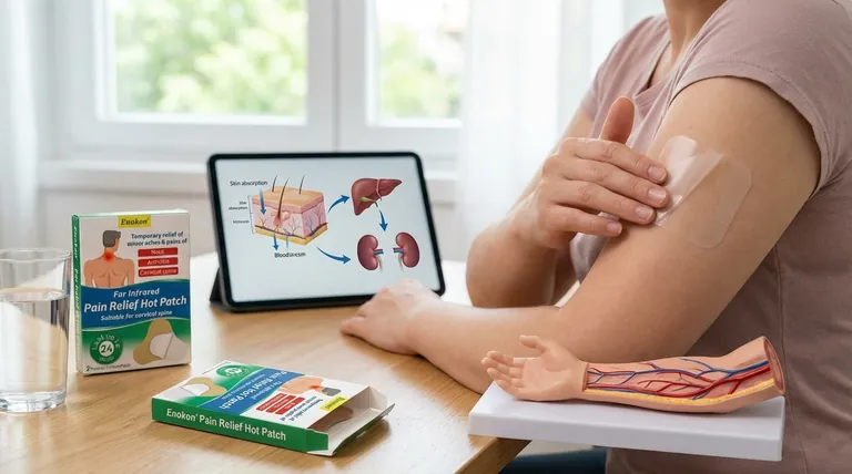 エストラジオール経皮吸収パッチはどのように代謝・排出されるか?ホルモン療法に関する重要な洞察