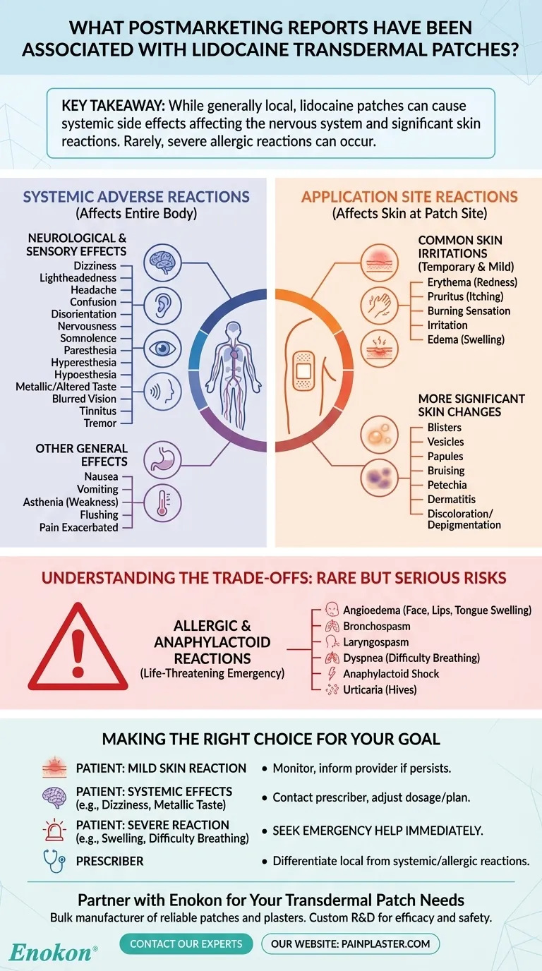 ما هي تقارير ما بعد التسويق التي ارتبطت بلصقات ليدوكائين عبر الجلد؟الآثار الضارة الرئيسية ورؤى السلامة دليل مرئي