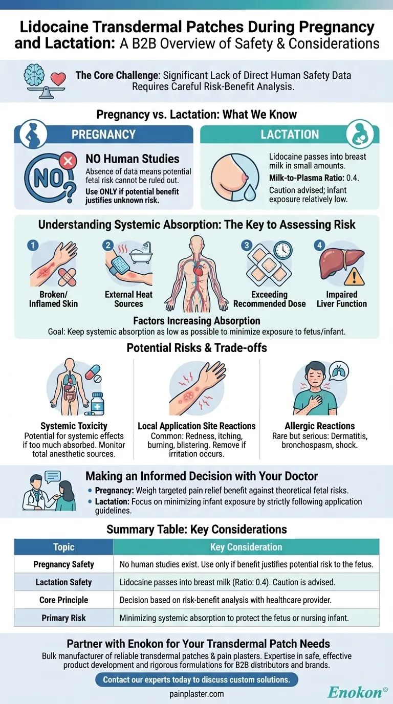 妊娠中および授乳中のリドカイン経皮パッチの使用について何がわかっていますか？安全性に関する洞察とガイドライン ビジュアルガイド