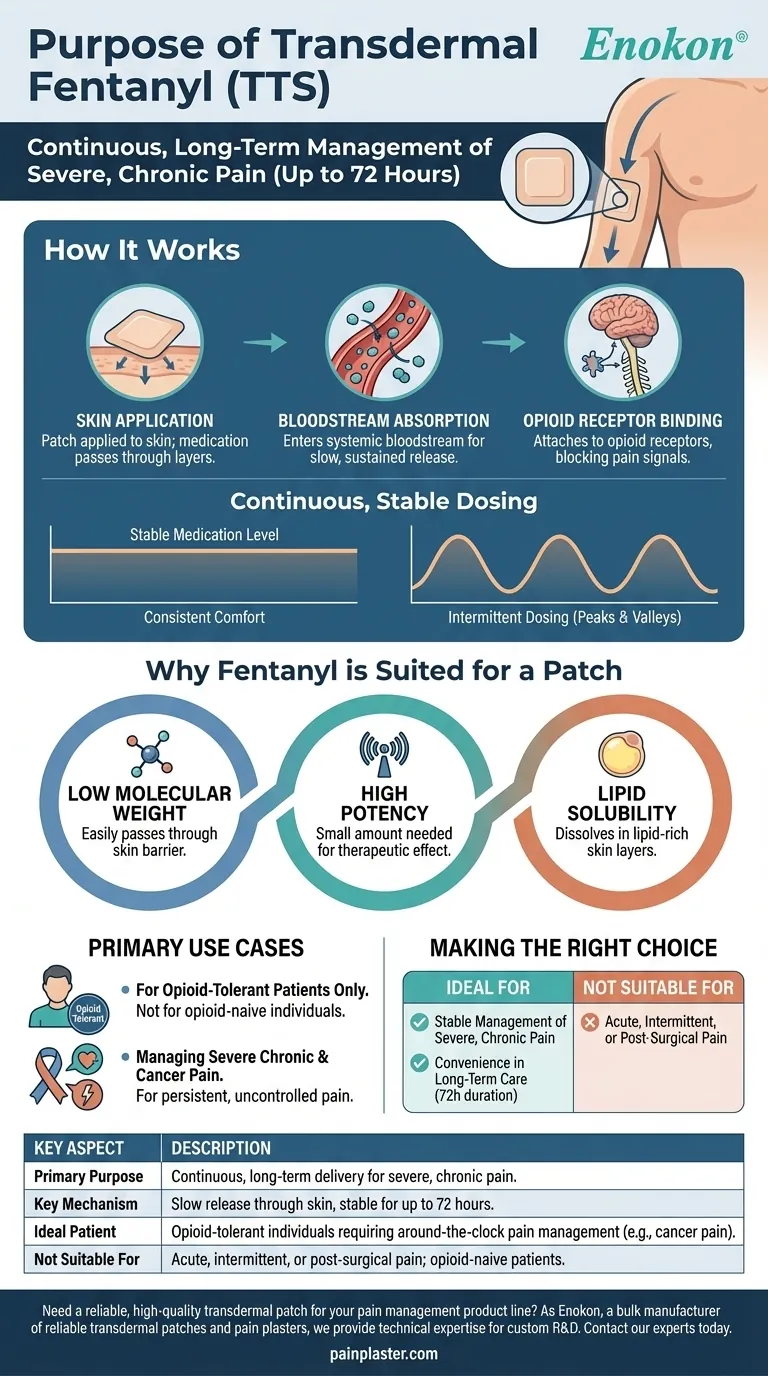透皮治疗系统（TTS）芬太尼的作用是什么？| 缓解慢性疼痛 图解指南
