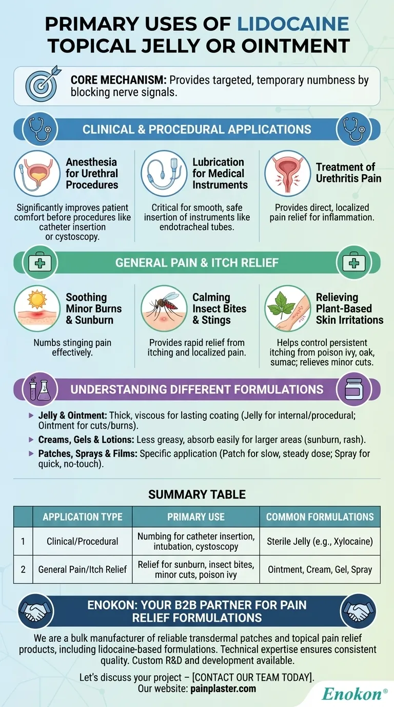 リドカイン外用ゼリーまたは軟膏の主な用途は？本質的な痛みの緩和と医療用途 ビジュアルガイド