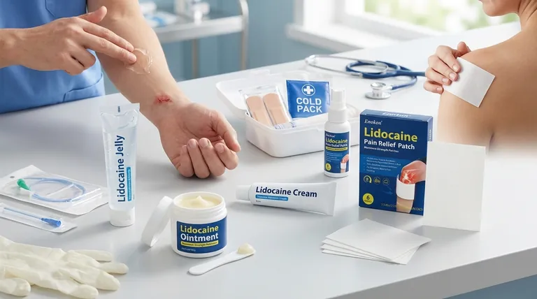 リドカイン外用ゼリーまたは軟膏の主な用途は?本質的な痛みの緩和と医療用途