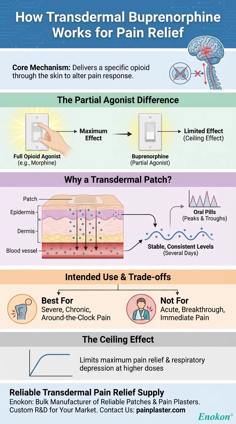 ¿Cómo actúa la buprenorfina transdérmica para aliviar el dolor?Guía para un tratamiento seguro y prolongado del dolor Guía Visual