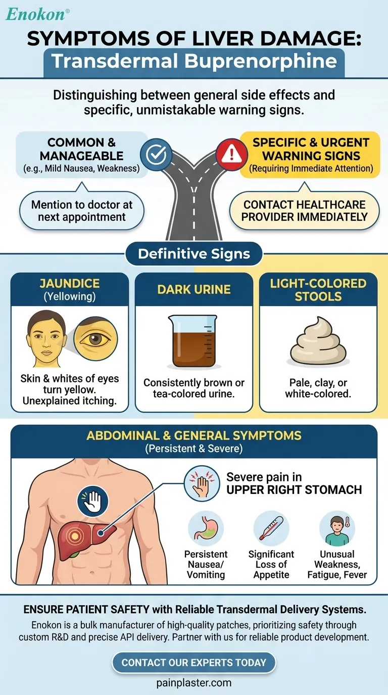 Quais são os sintomas de lesão hepática que podem ocorrer com a buprenorfina transdérmica?Reconhecer os sinais de alerta Guia Visual
