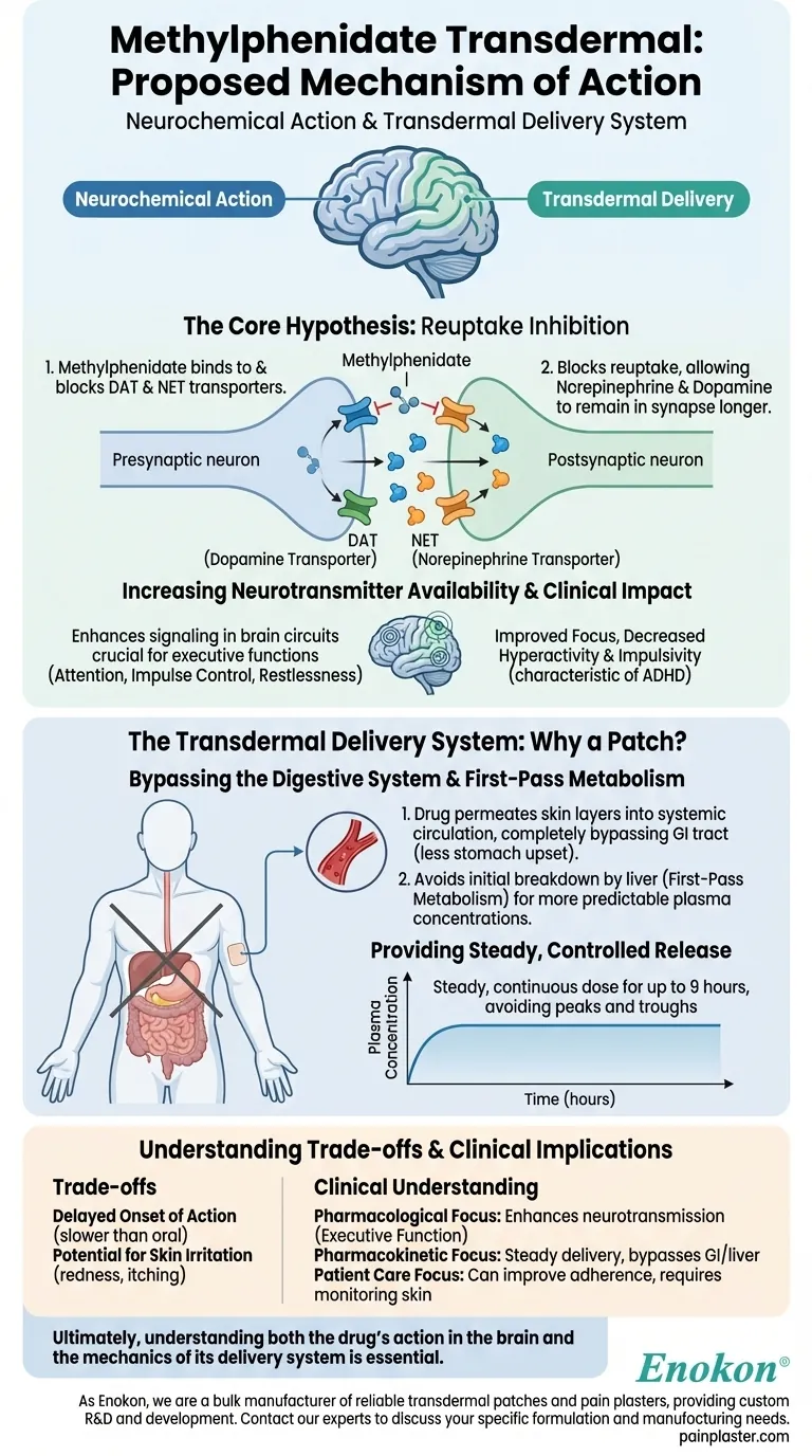 What is the proposed mechanism of action of methylphenidate transdermal? | Neurotransmitter & Delivery Explained Visual Guide