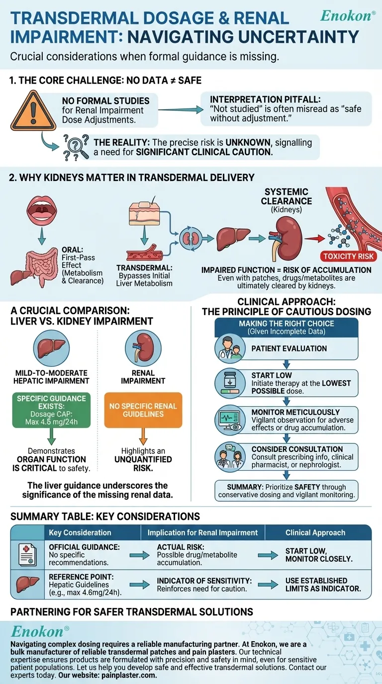 腎障害のある患者への経皮投与量はどのように調整すべきか？安全使用のための主な考慮事項 ビジュアルガイド