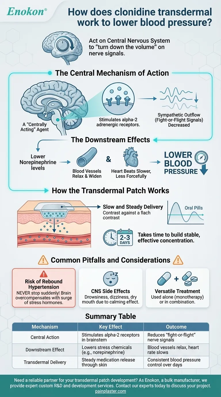 氯硝西泮透皮膏如何降低血压？控制性高血压治疗指南 图解指南