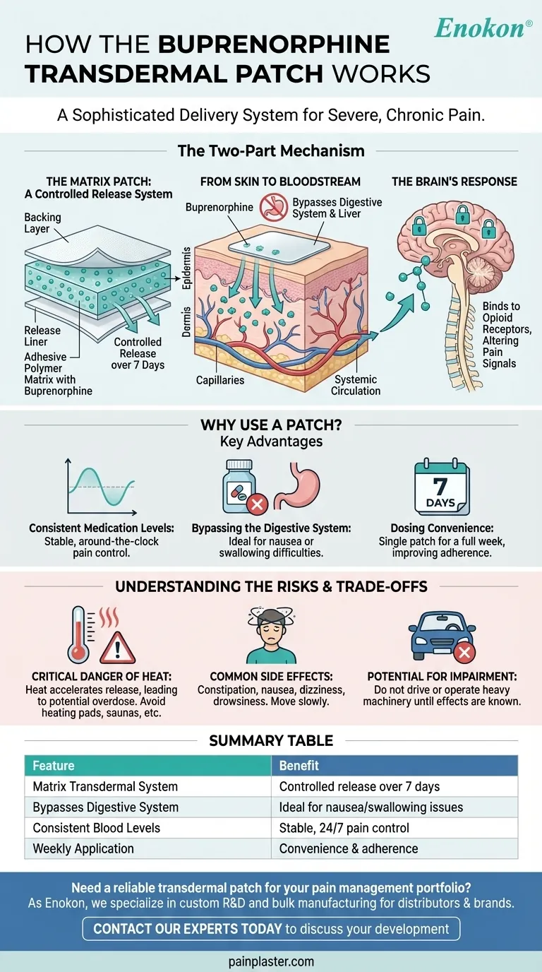 Wie funktioniert das transdermale Buprenorphinpflaster?Ein vollständiger Leitfaden zur 7-Tage-Schmerzlinderung Visuelle Anleitung