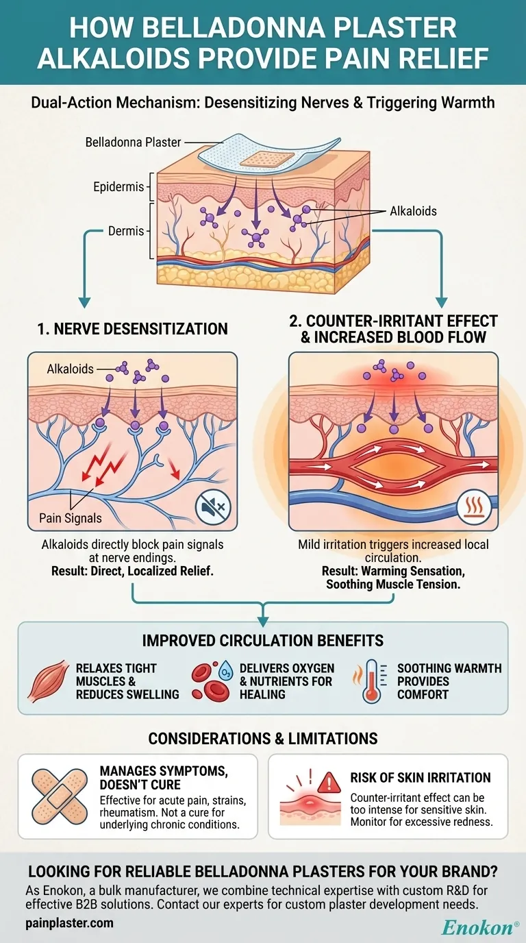 Wie wirken die Alkaloide in Belladonna-Pflastern schmerzlindernd?Doppelt wirkende Schmerzbehandlung erklärt Visuelle Anleitung