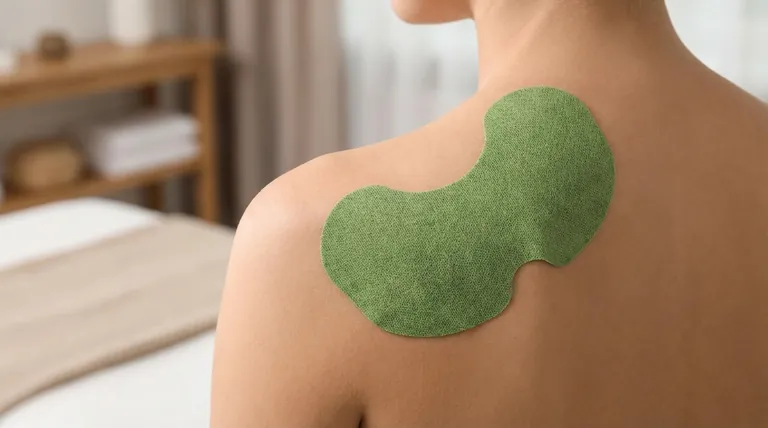 ベラドンナプラスター製剤の現状は?疼痛緩和における現代の進歩