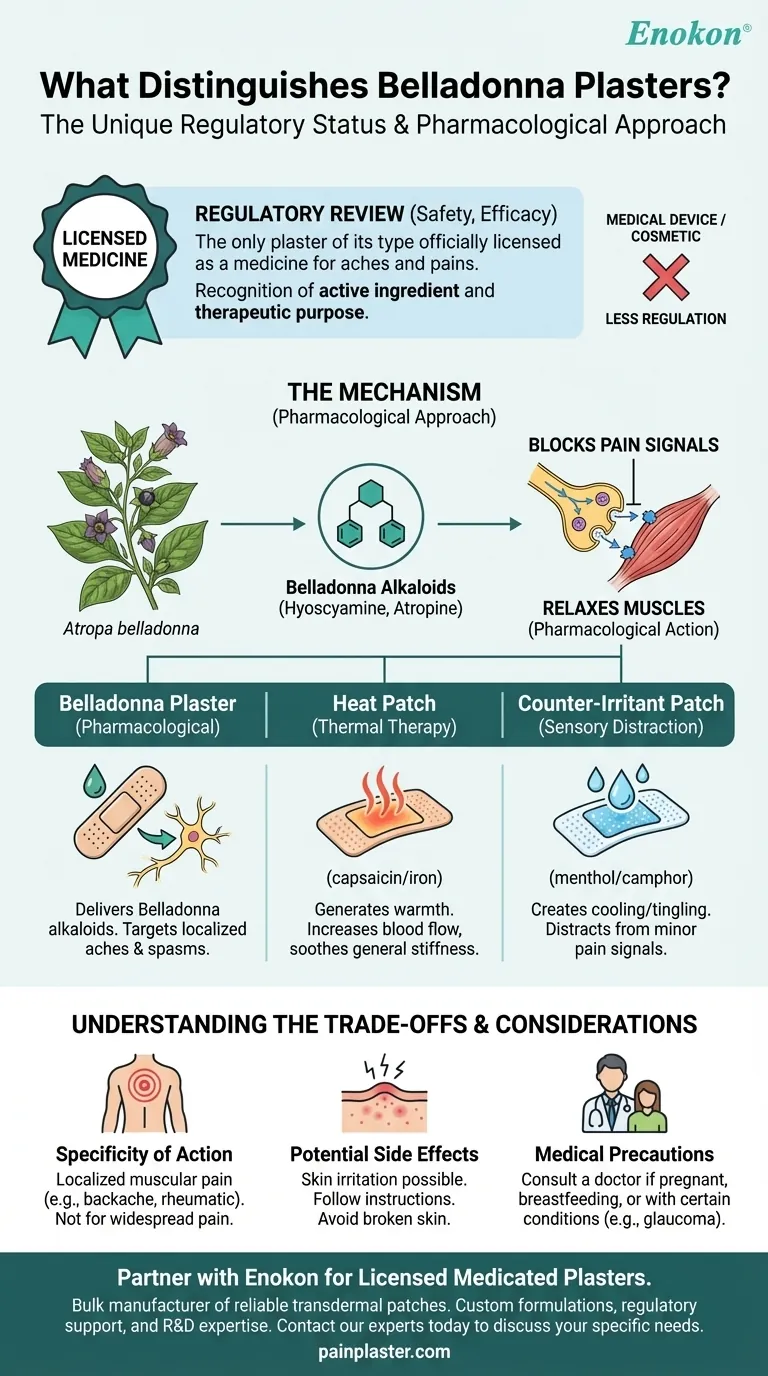 O que distingue os emplastros de Belladonna de produtos semelhantes?Principais benefícios e caraterísticas únicas Guia Visual