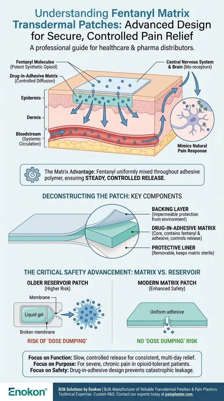 What is a fentanyl matrix transdermal patch? A Safer, Controlled-Release System for Severe Pain Visual Guide