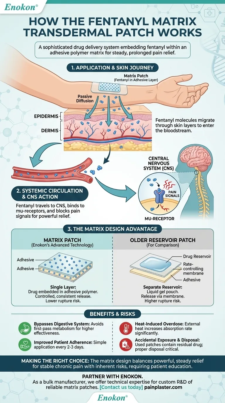 How does the fentanyl matrix transdermal patch work? A Guide to Safe, Long-Term Pain Relief Visual Guide