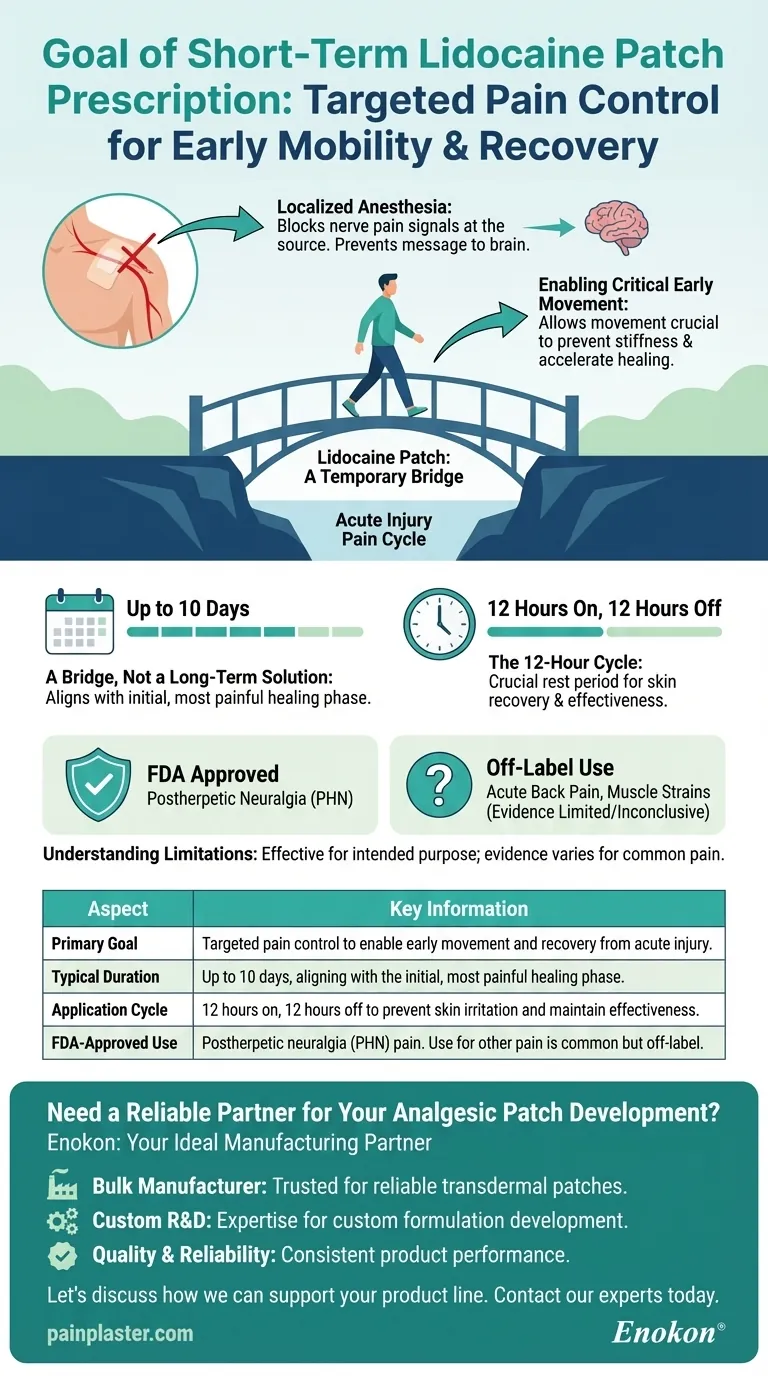 短期使用利多卡因贴片的目的是什么？有针对性地缓解疼痛，加快康复速度 图解指南