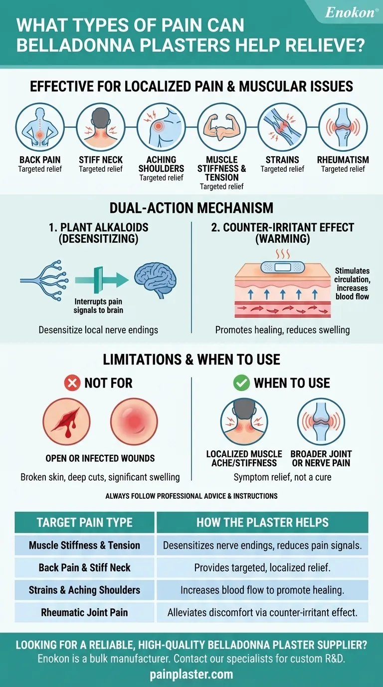 Que tipos de dores podem ser aliviadas com os pensos de Belladonna?Alívio natural da dor para músculos e articulações Guia Visual