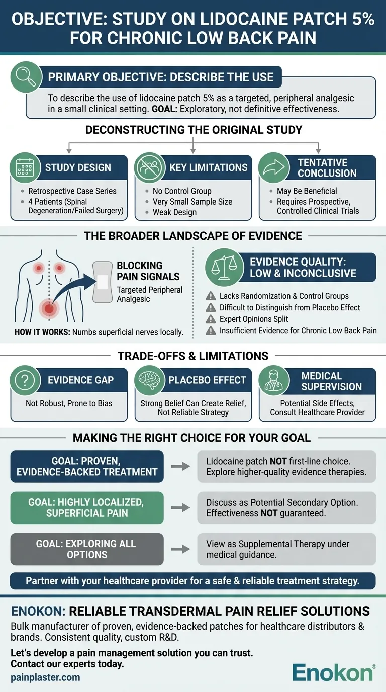 慢性腰痛に対するリドカインパッチ5％の使用に関する研究の目的は？標的疼痛緩和の探求 ビジュアルガイド