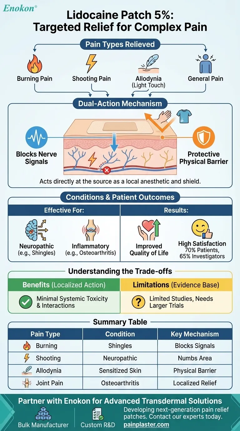 リドカインパッチ5%は患者のどのような痛みを和らげるのに役立ちましたか？神経障害と筋骨格系の症状に対する効果的な痛みの緩和 ビジュアルガイド