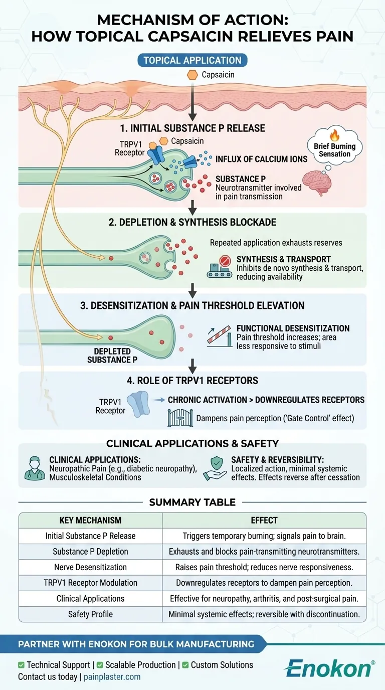 Qual é o mecanismo de ação da capsaicina aplicada topicamente?Uma solução natural para o alívio direcionado da dor Guia Visual