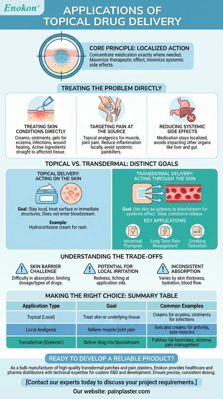 What are some applications of topical drug delivery? Maximize Efficacy and Minimize Side Effects Visual Guide