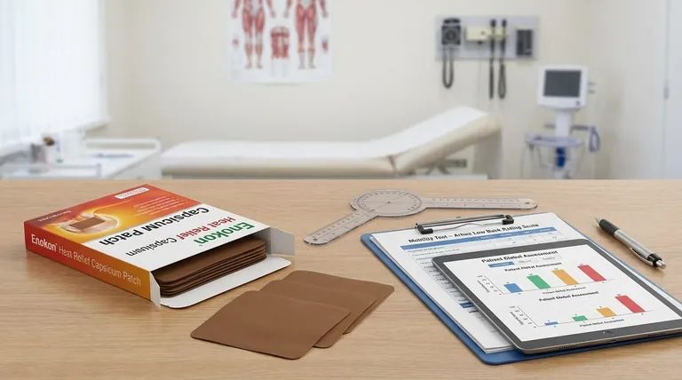 カプシカムプラスター研究における副次的有効性測定とは?ホリスティックな疼痛緩和の評価