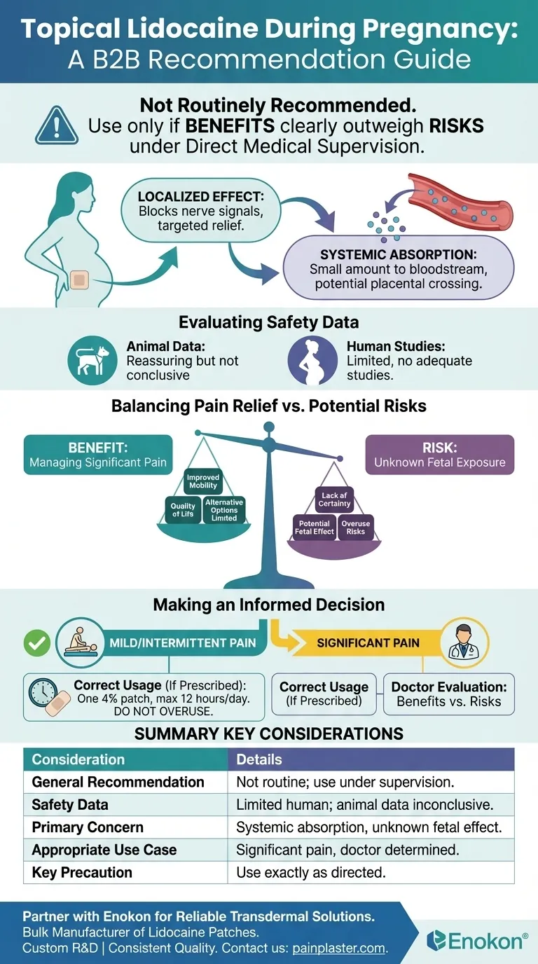 Qual é a recomendação para a utilização de lidocaína tópica durante a gravidez?Segurança e diretrizes Guia Visual