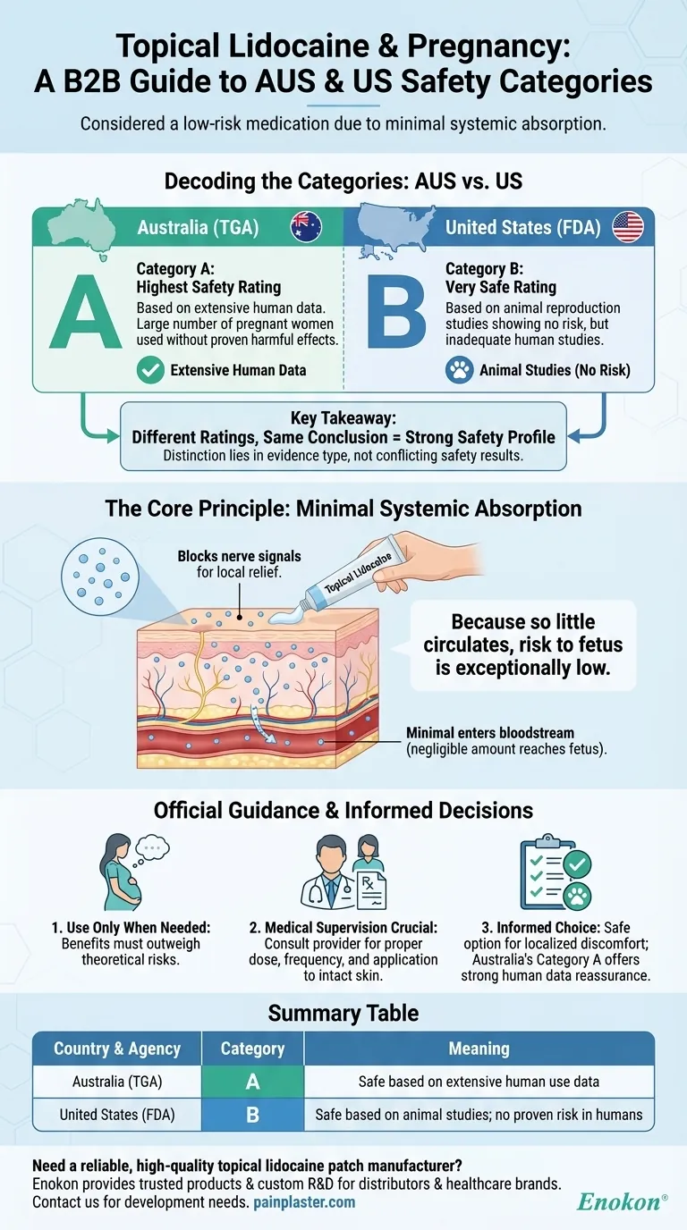 Каковы категории беременности для местного лидокаина в Австралии и США?Понимание региональных различий Визуальное руководство