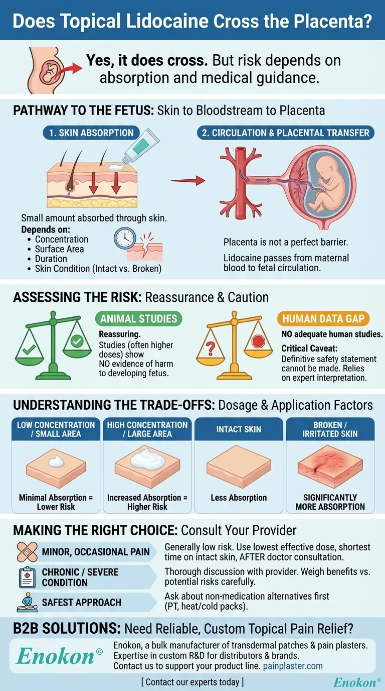 利多卡因外用药会穿过胎盘吗？妊娠期用药安全观察 图解指南