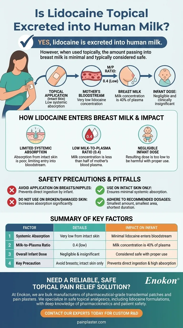 リドカイン外用薬はヒト母乳中に排泄されるか？授乳中の母親のための安全性に関する洞察 ビジュアルガイド