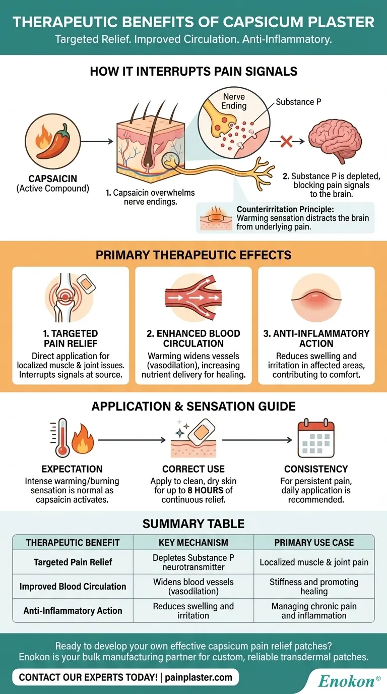 Quais são os benefícios terapêuticos do emplastro de capsicum?Alívio natural da dor e cura Guia Visual