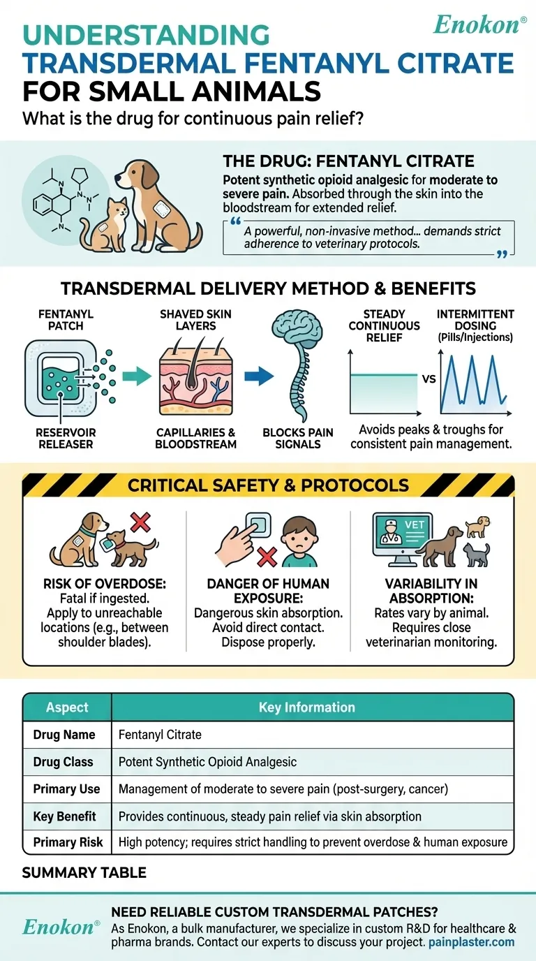 Qual é o medicamento discutido para uso transdérmico em pequenos animais?Principais informações para os cuidados veterinários Guia Visual