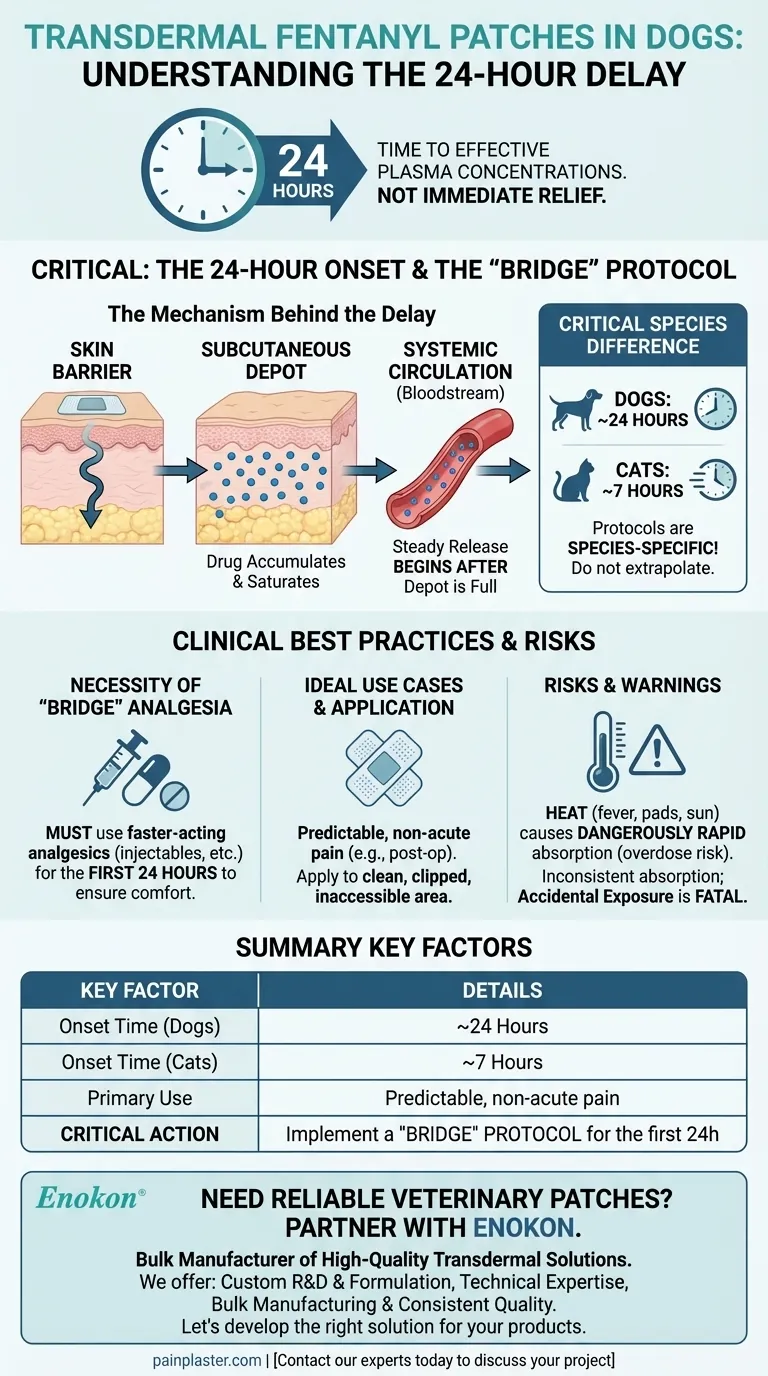 经皮芬太尼贴片使用后，狗何时才能达到有效的血浆浓度？ 图解指南