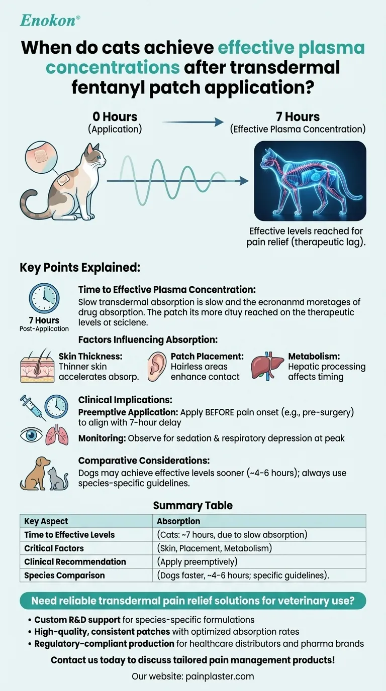 经皮芬太尼贴剂贴敷后，猫的血浆浓度何时达到有效浓度？缓解疼痛的关键时机 图解指南