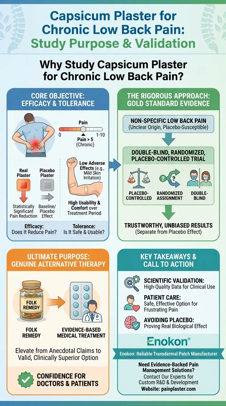 辣椒膏治疗慢性腰痛的研究目的是什么？评估一种无药镇痛方案 图解指南