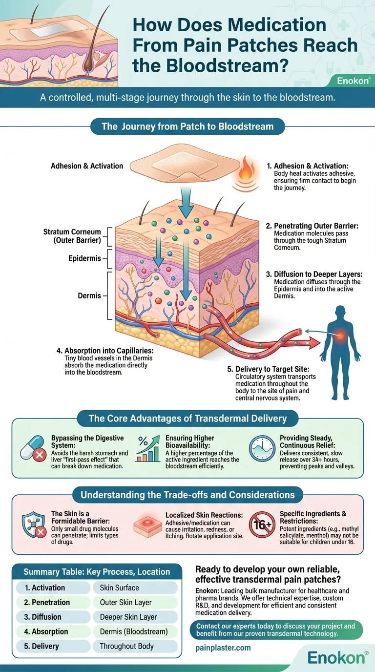 Wie gelangen die Medikamente aus Schmerzpflastern in den Blutkreislauf?Die Wissenschaft hinter der transdermalen Verabreichung von Medikamenten Visuelle Anleitung