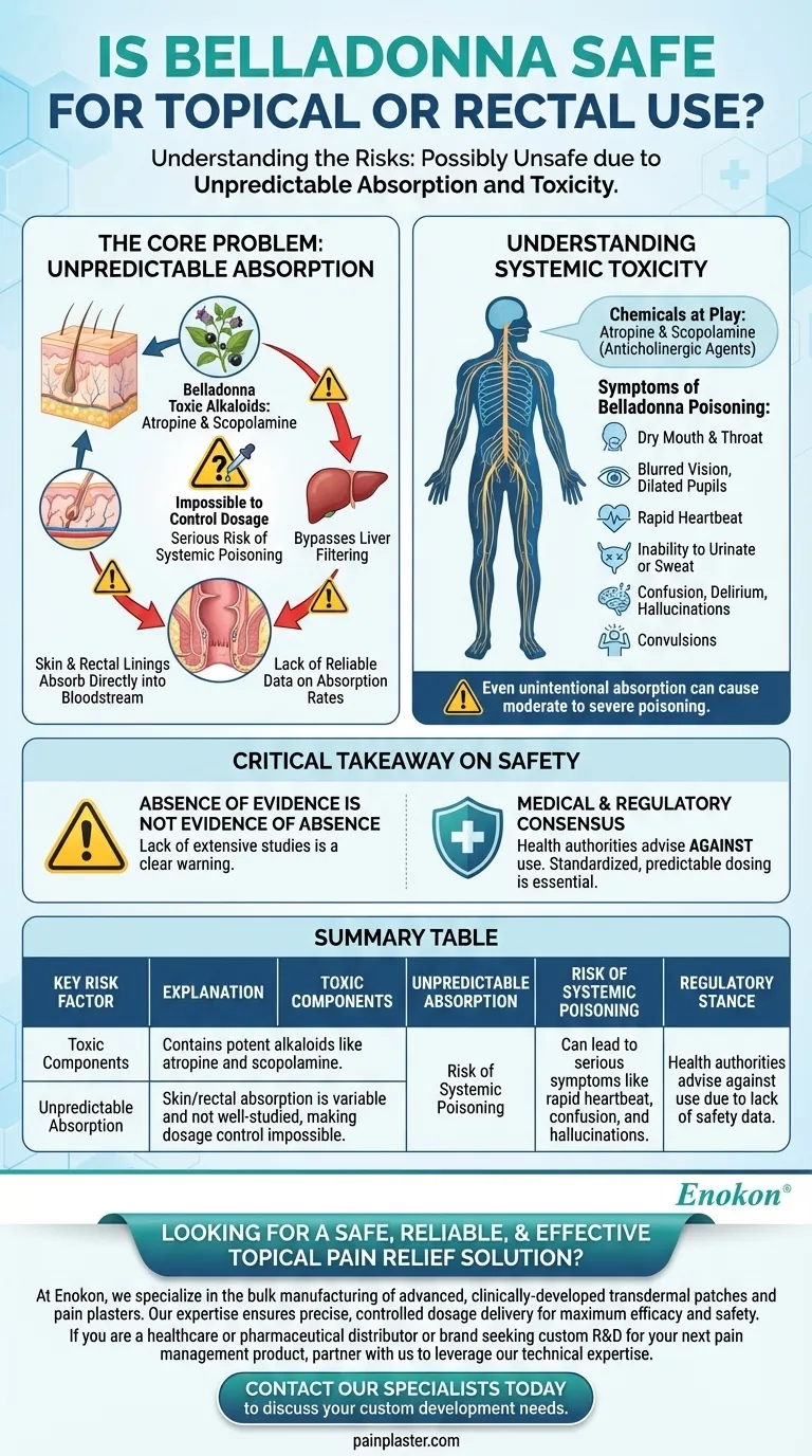 Is Belladonna safe for topical or rectal use? Understanding the serious risks of unpredictable absorption. Visual Guide
