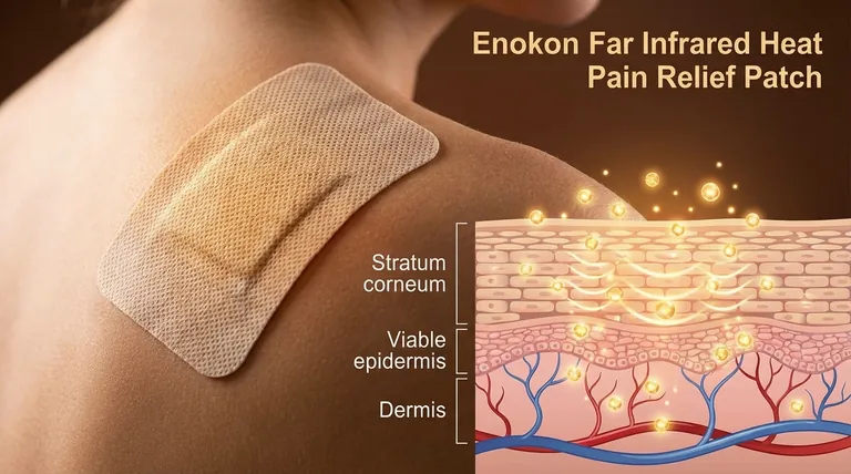 経皮薬物吸収において皮膚の構造が果たす役割とは?効果的な薬物送達を解き明かす