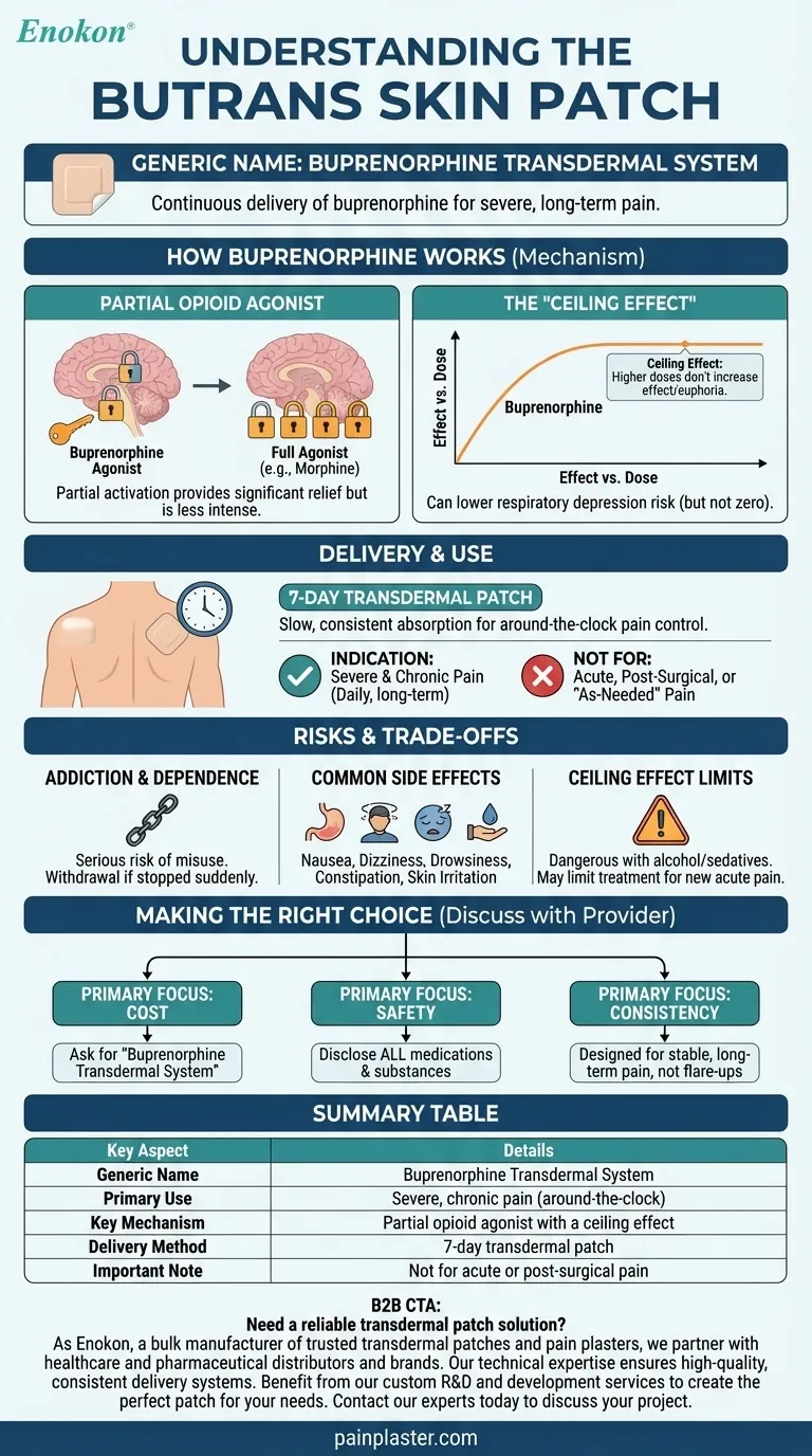 Qual é o nome genérico do Butrans skin patch?Factos importantes sobre o tratamento da dor Guia Visual