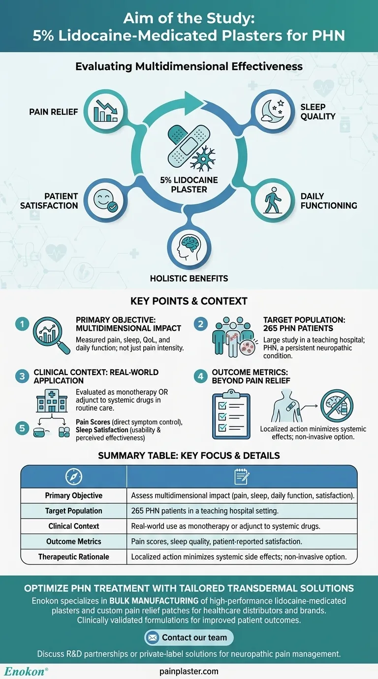 关于 5%利多卡因药膏治疗带状疱疹后遗神经痛的研究目的是什么？ 图解指南