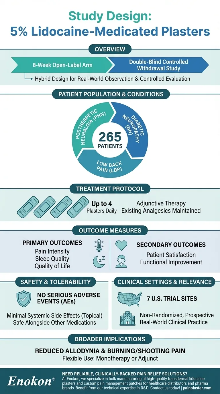 ¿Cuál fue el diseño del estudio con emplastos medicados con lidocaína al 5 por ciento?Información clave sobre el alivio del dolor y la calidad de vida Guía Visual