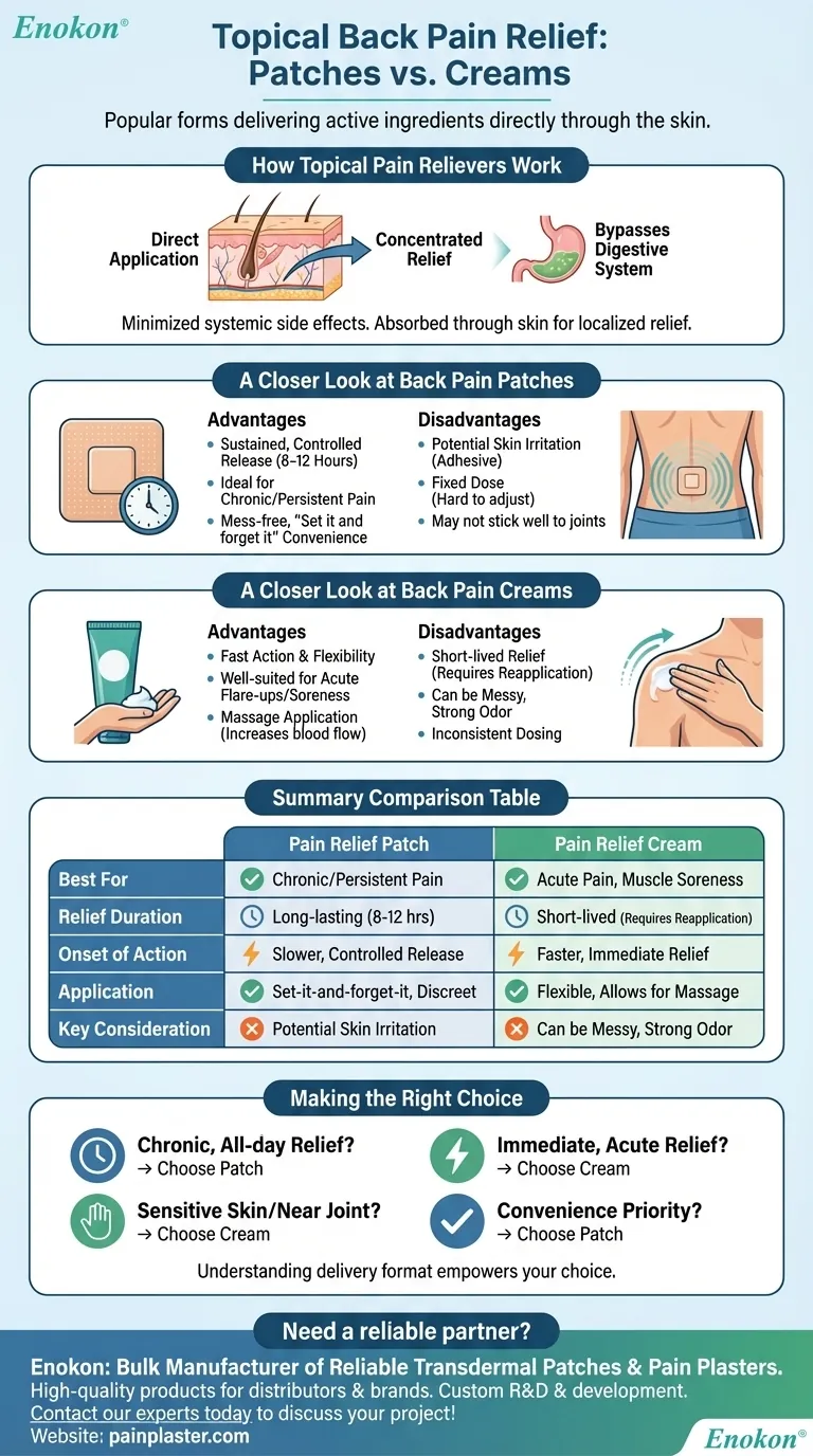 Was sind die beiden beliebtesten aktuellen Formen der Linderung von Rückenschmerzen?Entdecken Sie gezielte Lösungen für dauerhaften Komfort Visuelle Anleitung