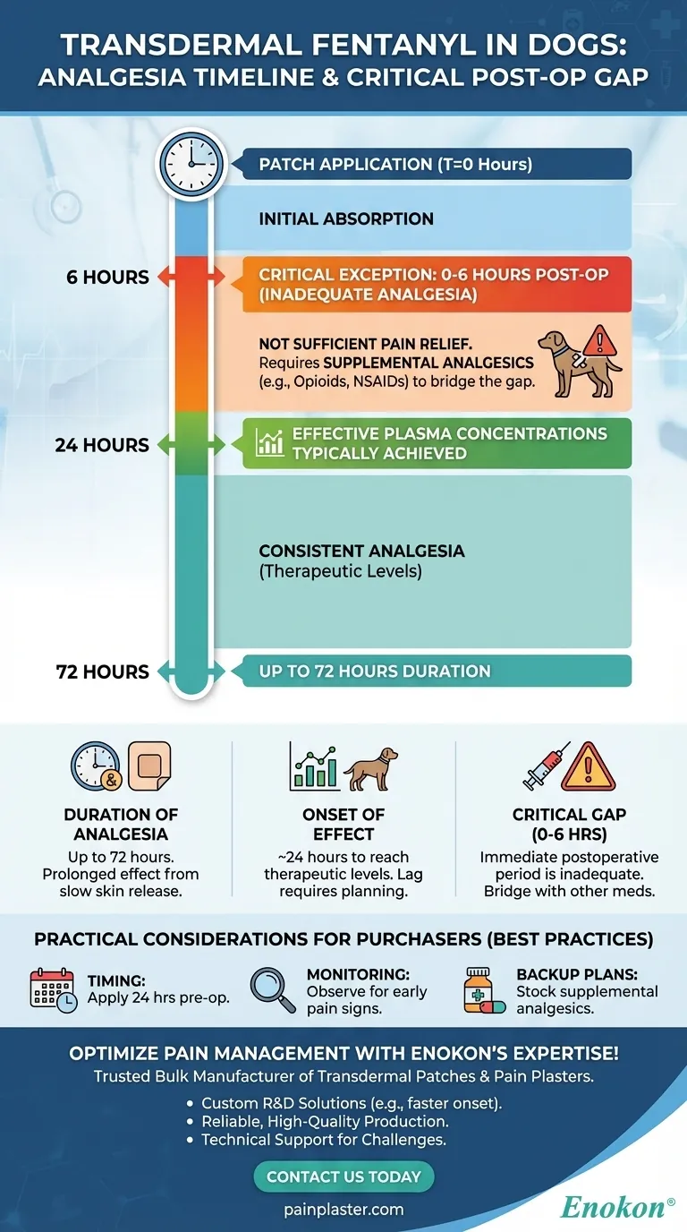 Как долго трансдермальный фентанил обеспечивает обезболивание у собак?Основная продолжительность и исключения Визуальное руководство