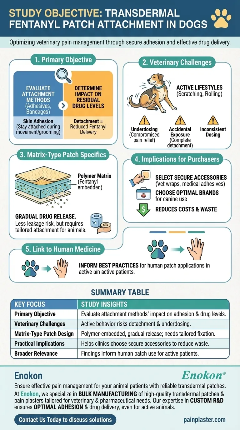 What was the objective of the study on transdermal fentanyl patch attachment in dogs? Optimizing Pain Relief for Canine Patients Visual Guide