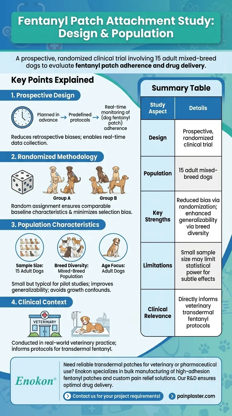 What was the study design and population for the fentanyl patch attachment research? Key Insights Visual Guide