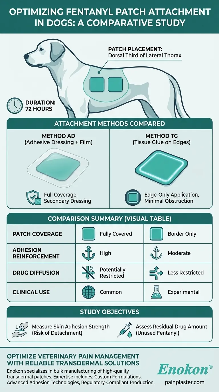 Como é que os adesivos de fentanilo foram aplicados nos cães do estudo?Comparação de métodos adesivos para uso veterinário Guia Visual